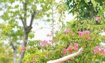 永久告别无聊生活，来“51吃瓜吃瓜大赛”看看那些让人哭笑不得的选手们吧！