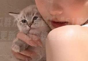 别错过！“51吃瓜群众”苹果版更新，助你快速获取八卦消息！