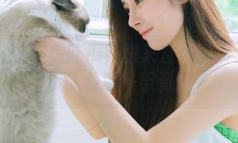 想吃瓜？快来直达国产黑料网页，获取一手资讯